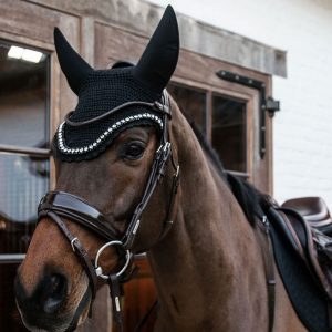 Ear Nets