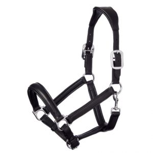 Halters