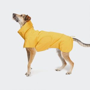 Dog Coat