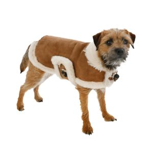Dog Coat